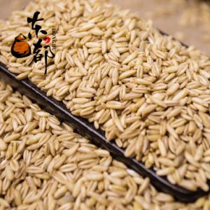 神农鲜米坊东都燕麦片400g
