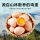 喜环蛋品散养7天 鲜蛋30枚